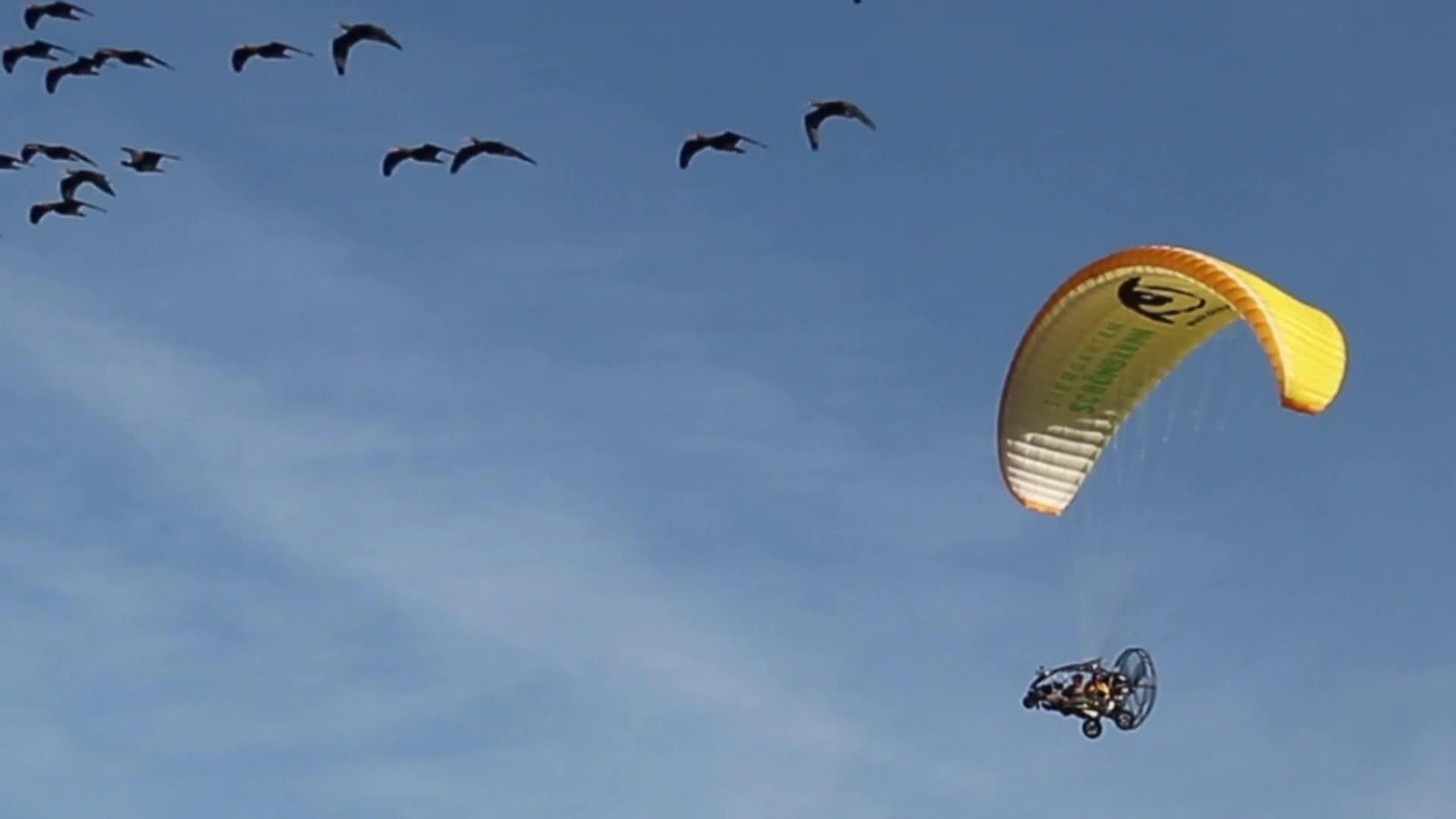 web premio zoo jerez