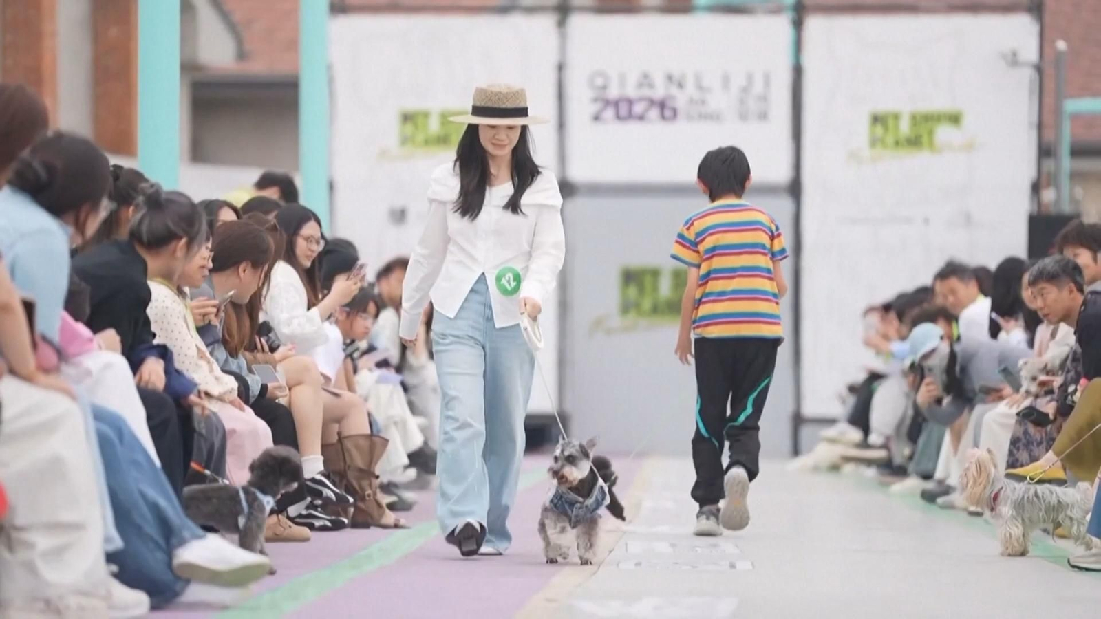 Pasarela mascotas
