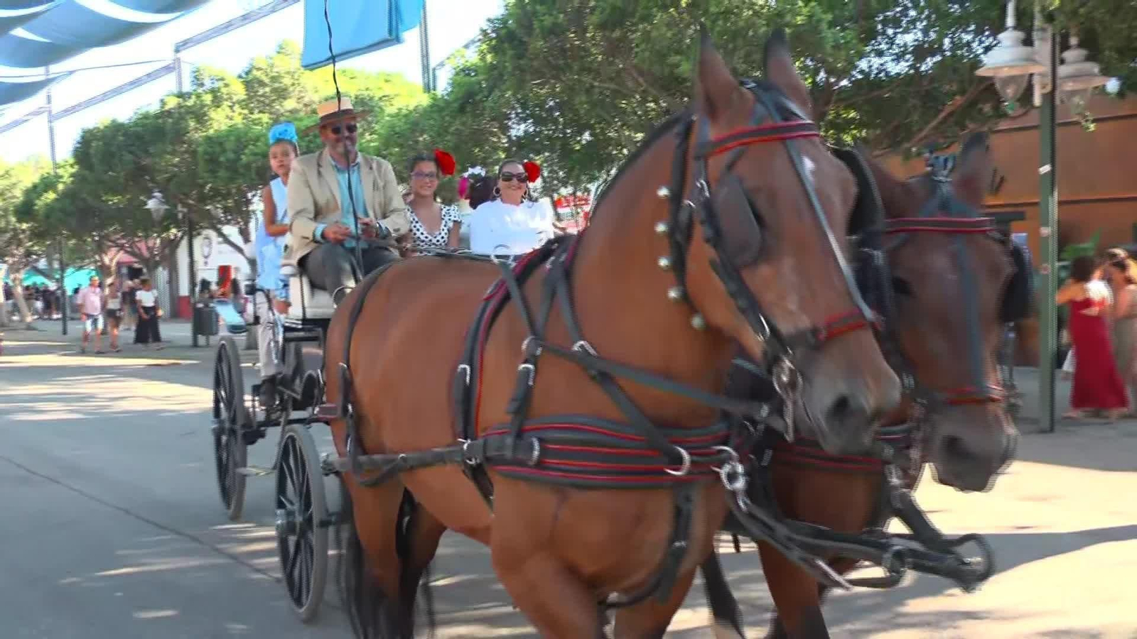 V063-MÁLAGA FERIA TARDE