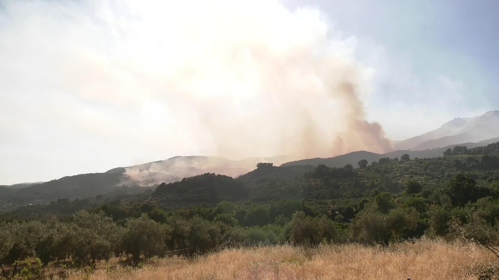 M062-AVILA INCENDIO TARDE