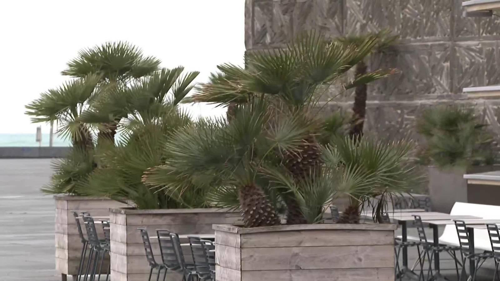 web olas y lluvias ok