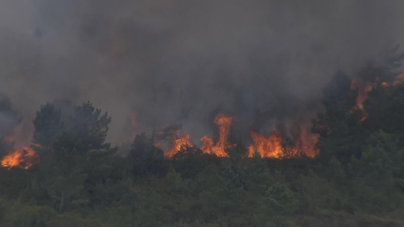 X022-ASTURIAS INCENDIO IBIAS