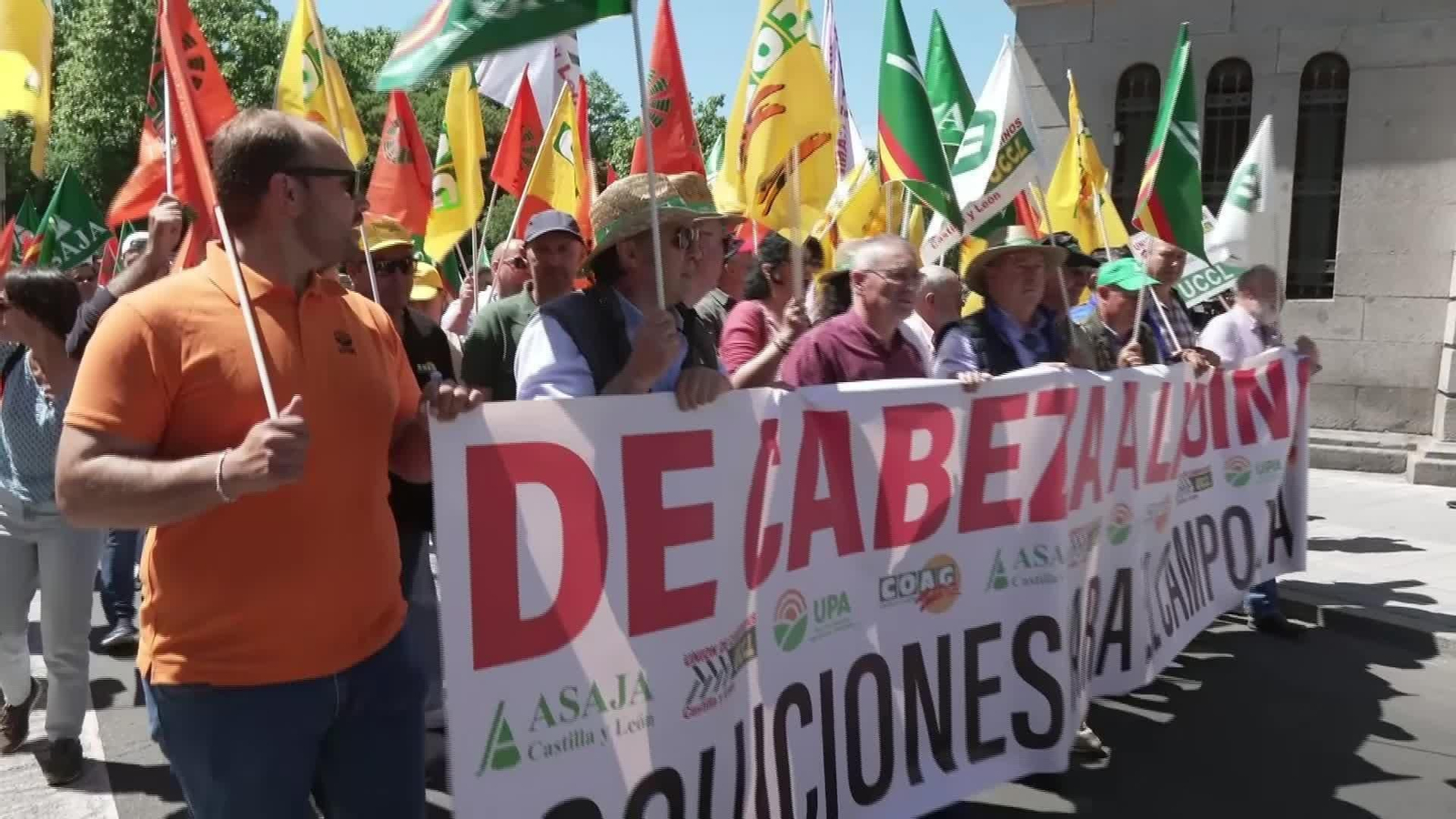 X029-VALLADOLID TRACTORADA