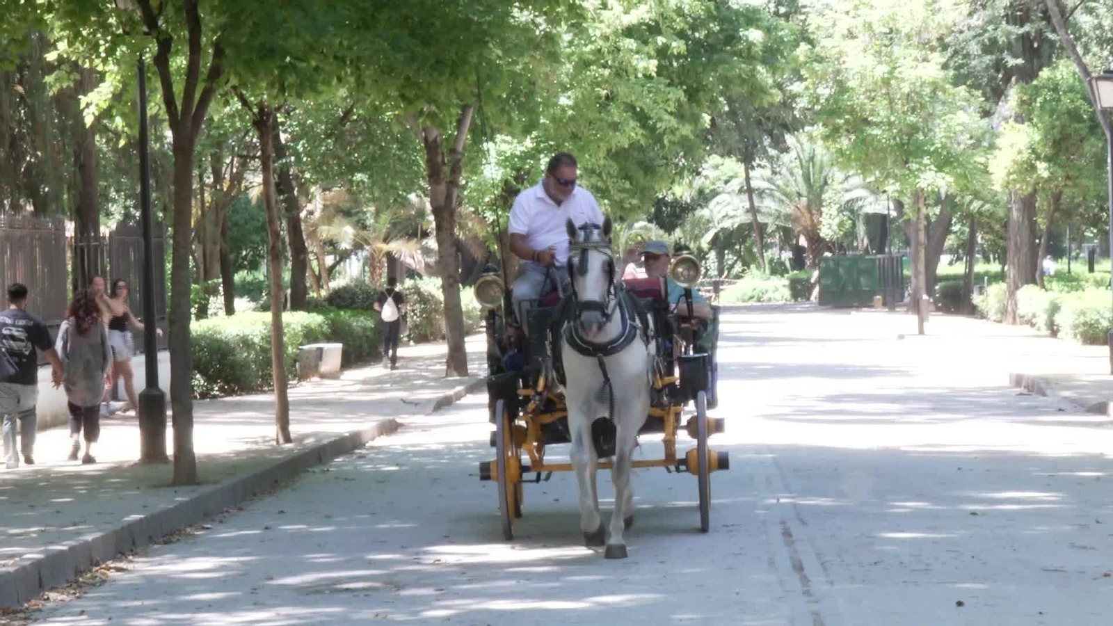 L054-SEVILLA CALOR
