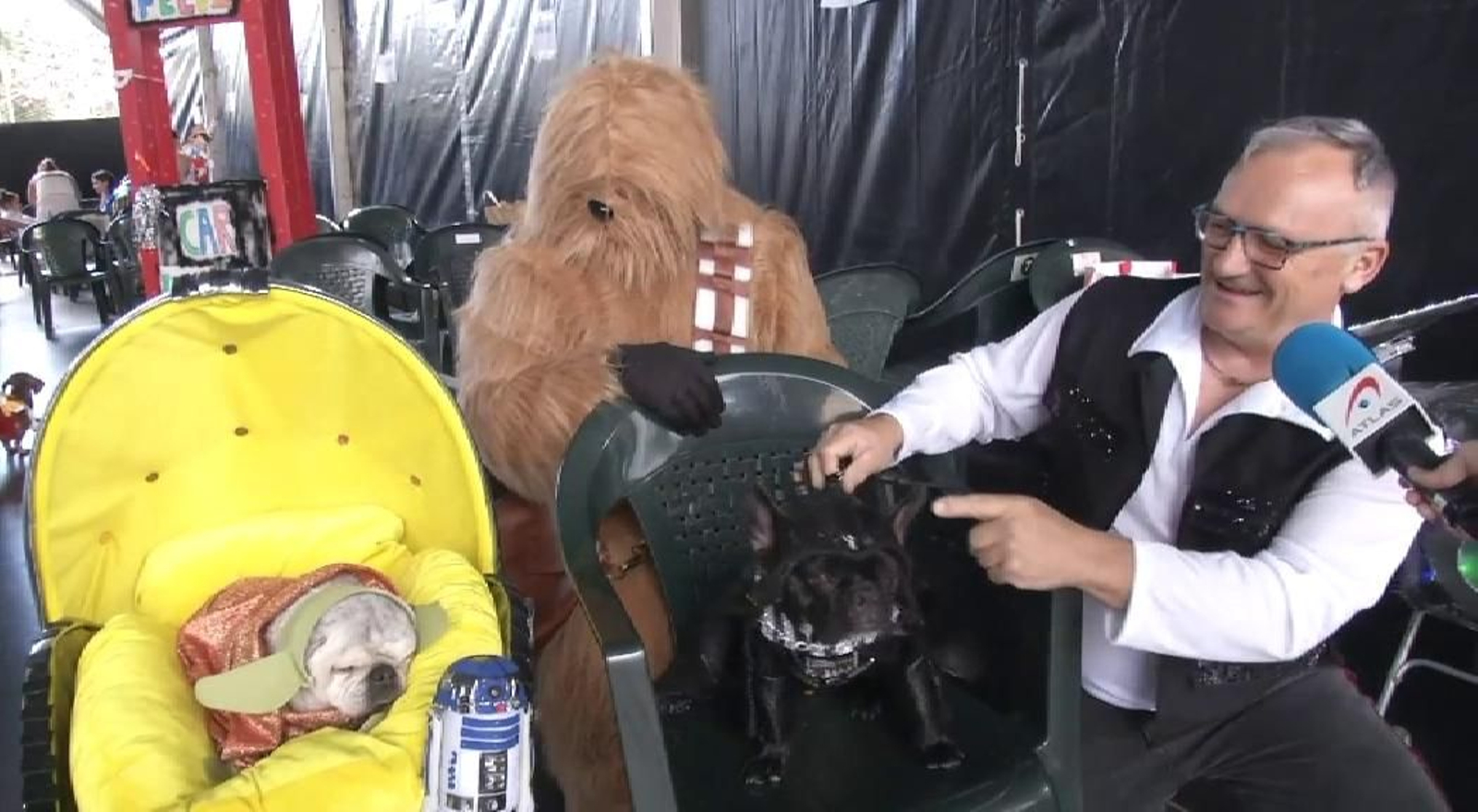 Sombra y Nono triunfan en el Carnaval Canino de Las Palmas con una fantasía de Star Wars Sombra y Nono triunfan en el Carnaval Canino de Las Palmas con una fantasía de Star Wars