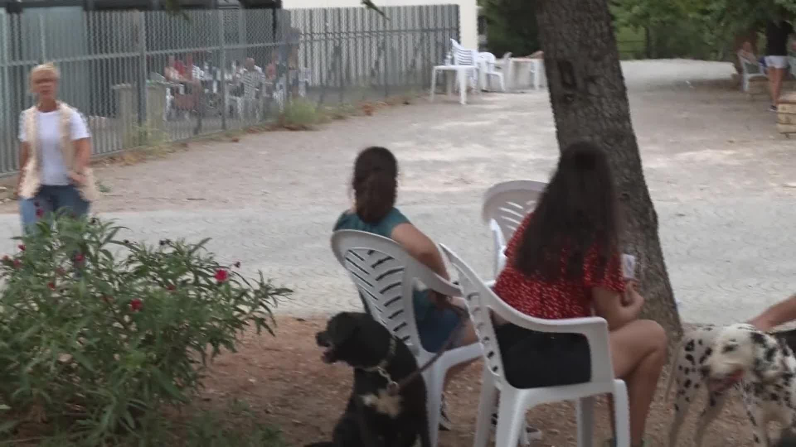 L053-CASTELLON DESALOJADOS VUELVEN A CASA