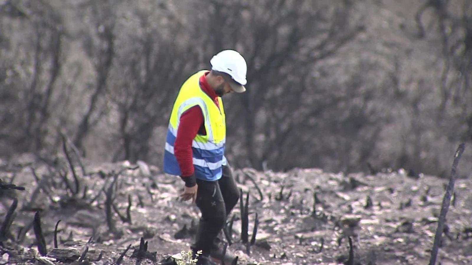 X003-EDI LEON GEOLOGOS INCENDIOS LAS MEDULAS