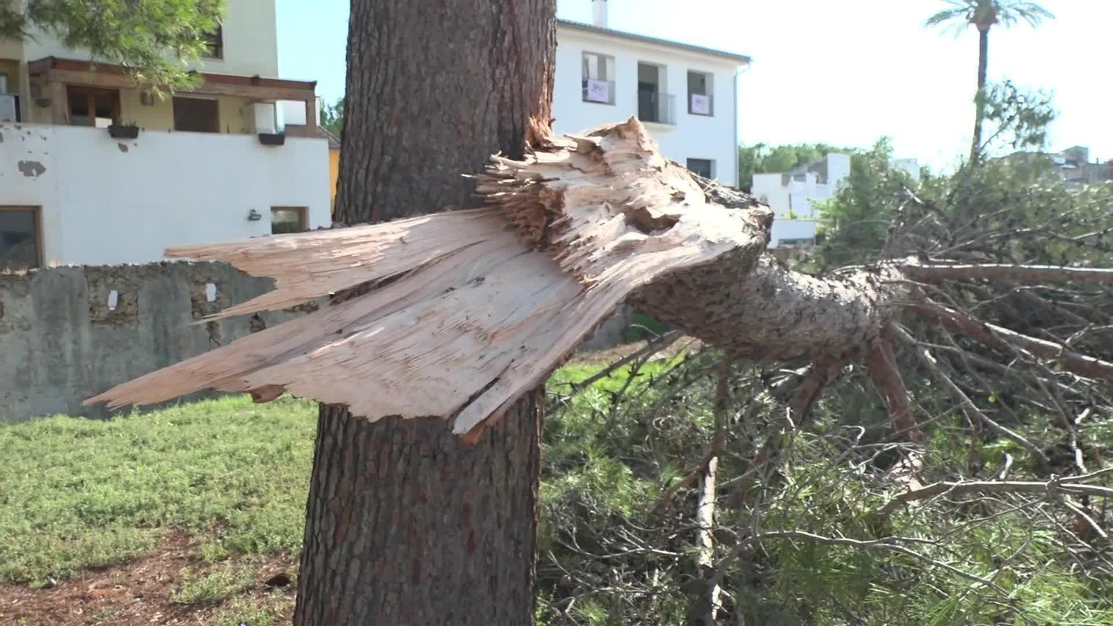 V025-VALENCIA DESTROZOS TEMPORAL ALZIRA