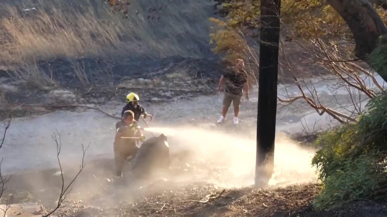 va incendios grecia