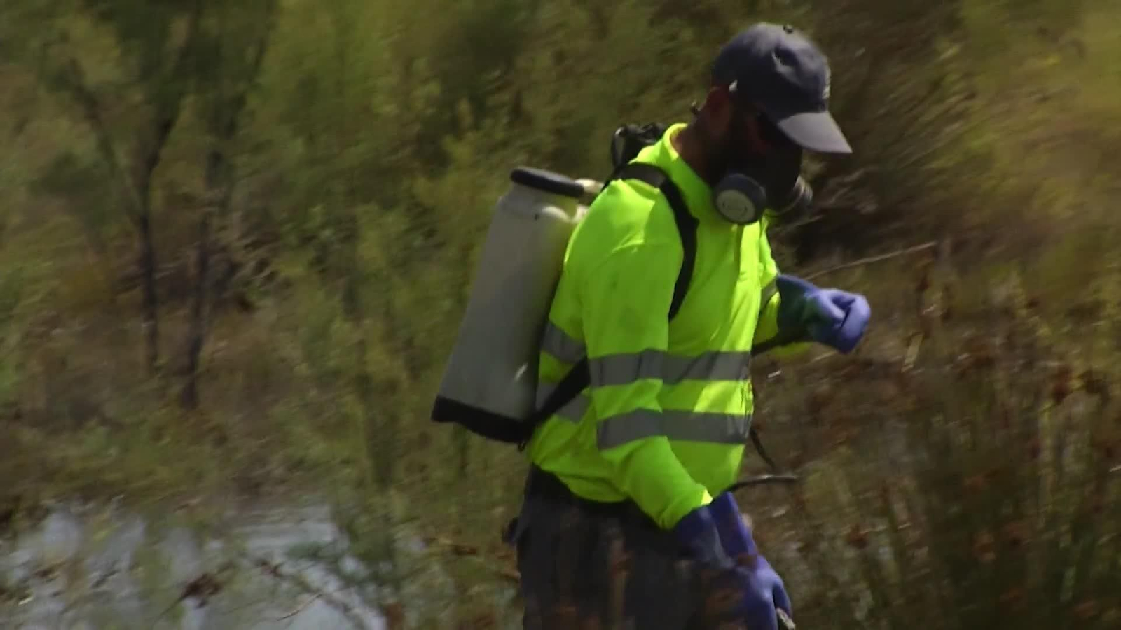Se intensifica la fumigación de mosquitos en Castellón tras las últimas lluvias