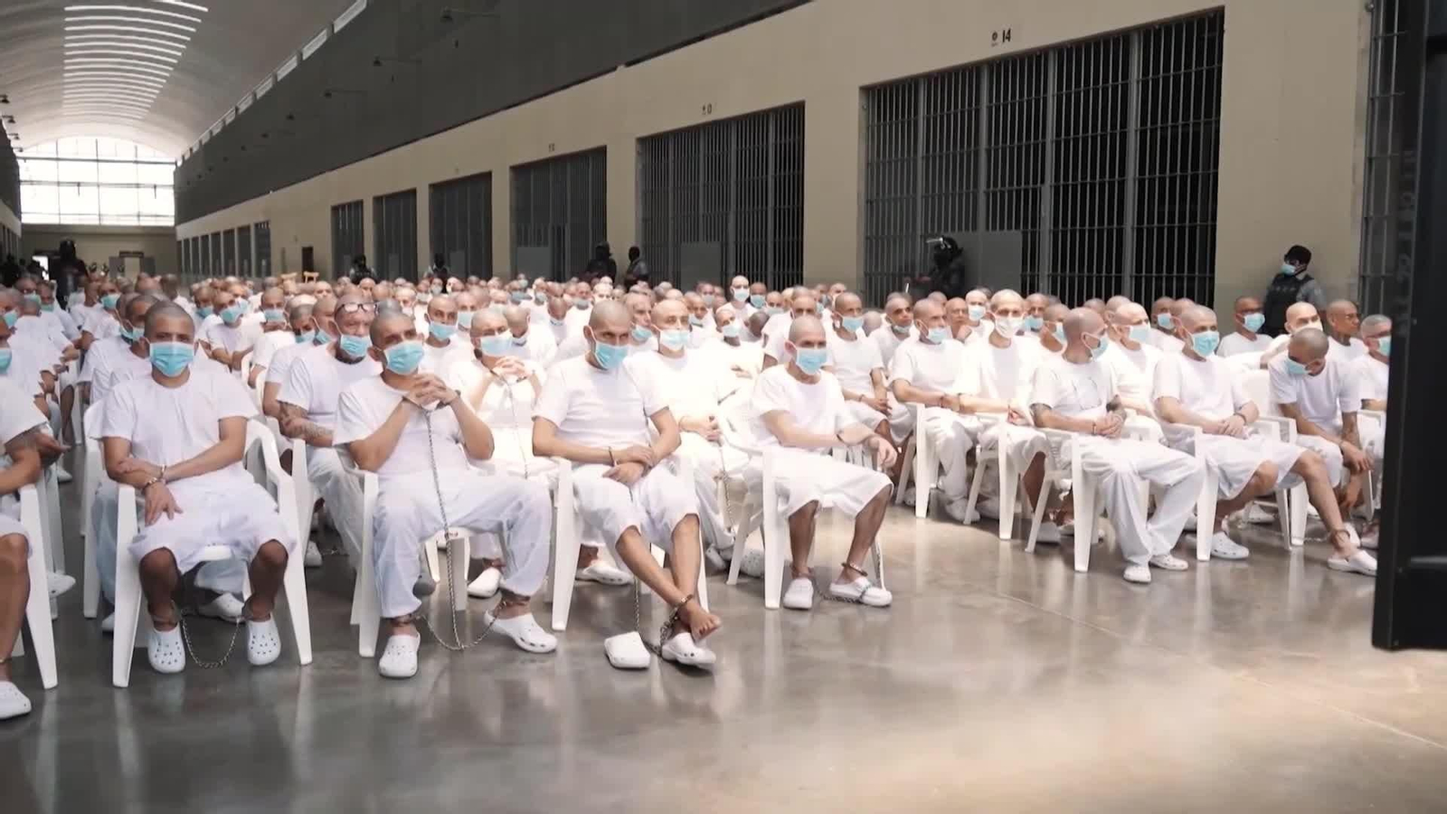 web juicio maras salvador