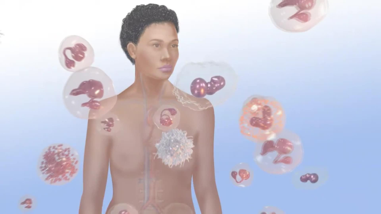 V048-EDI VARIOS CAJA NEGRA DEL CÁNCER