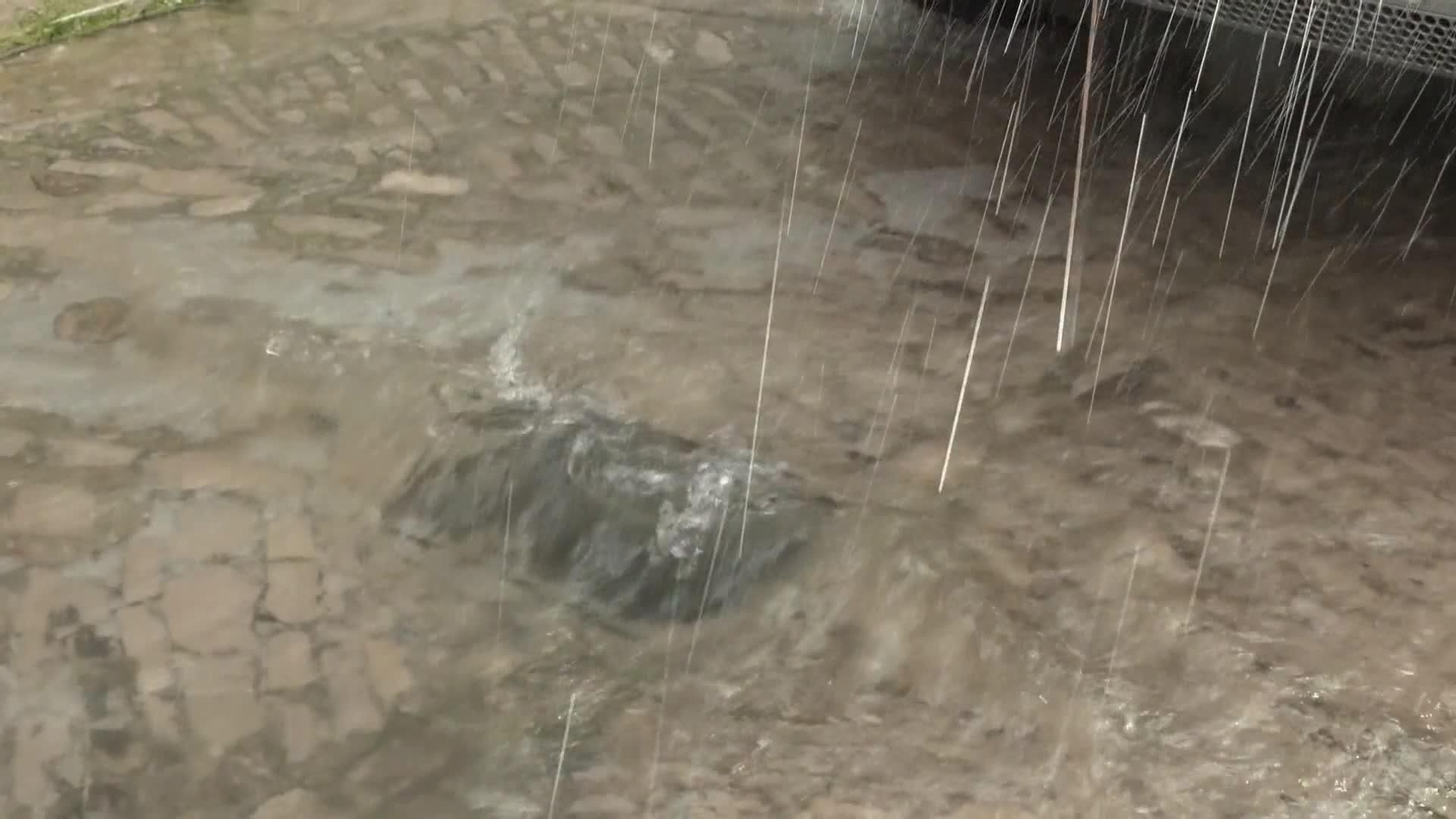 web grazalema donde mas llueve