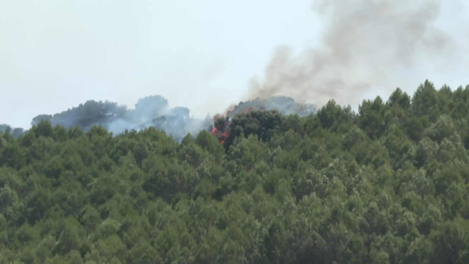 M048-NAVARRA INCENDIO ESTELLA