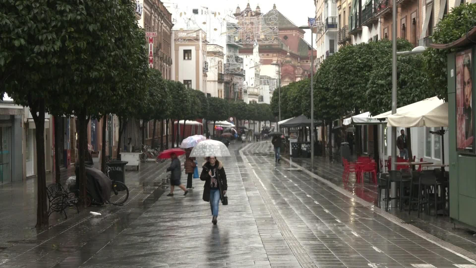 X050-SEVILLA BORRASCA