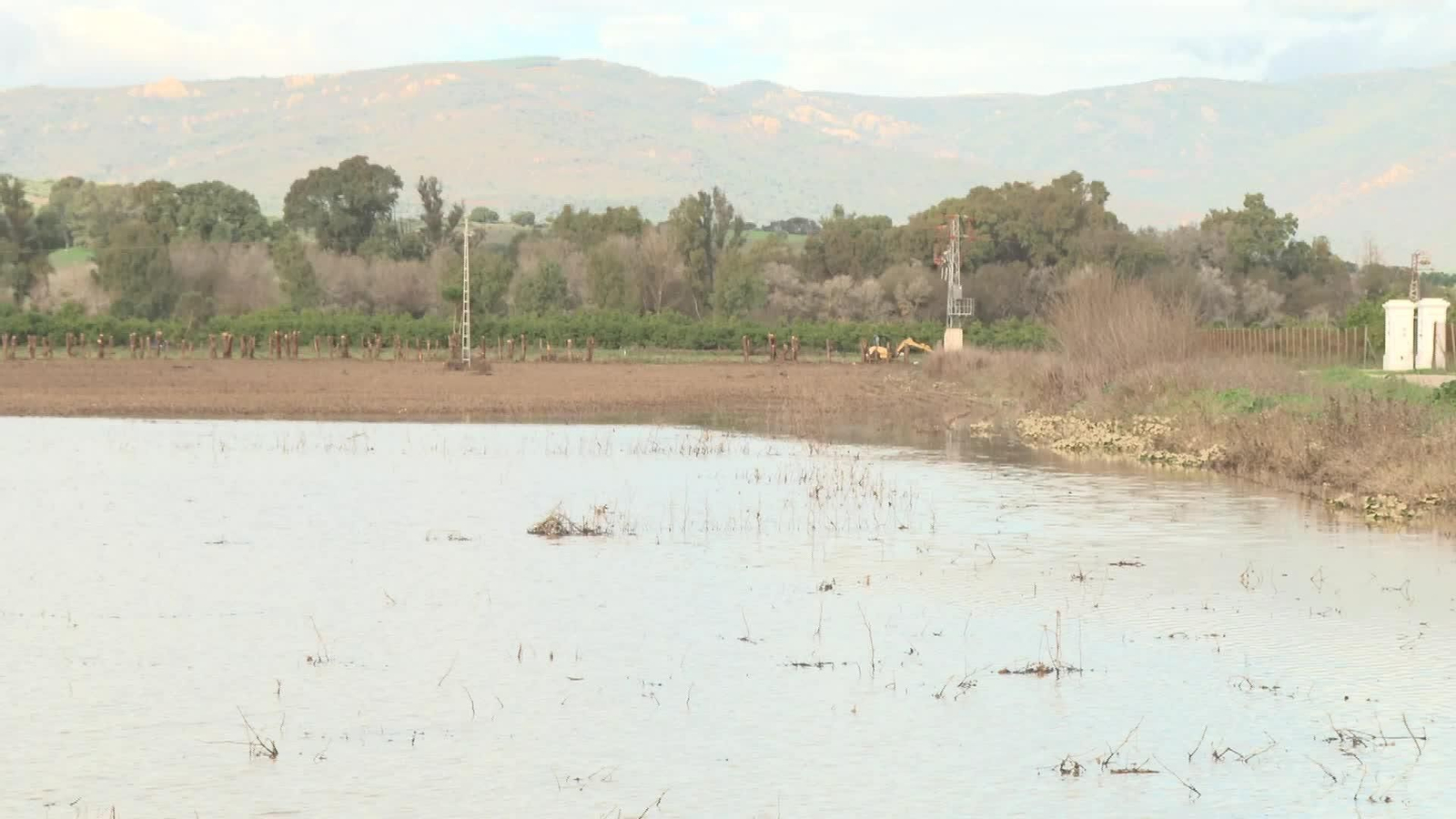 L054-CÁDIZ PASO FRANCIS SAN ROQUE