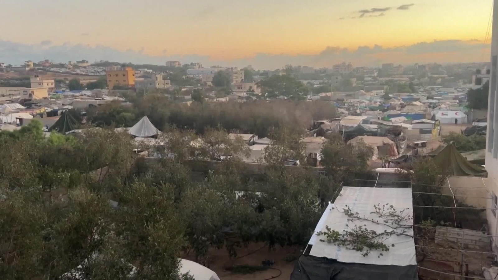 M004-GAZA REACCIONES DESPLAZADOS