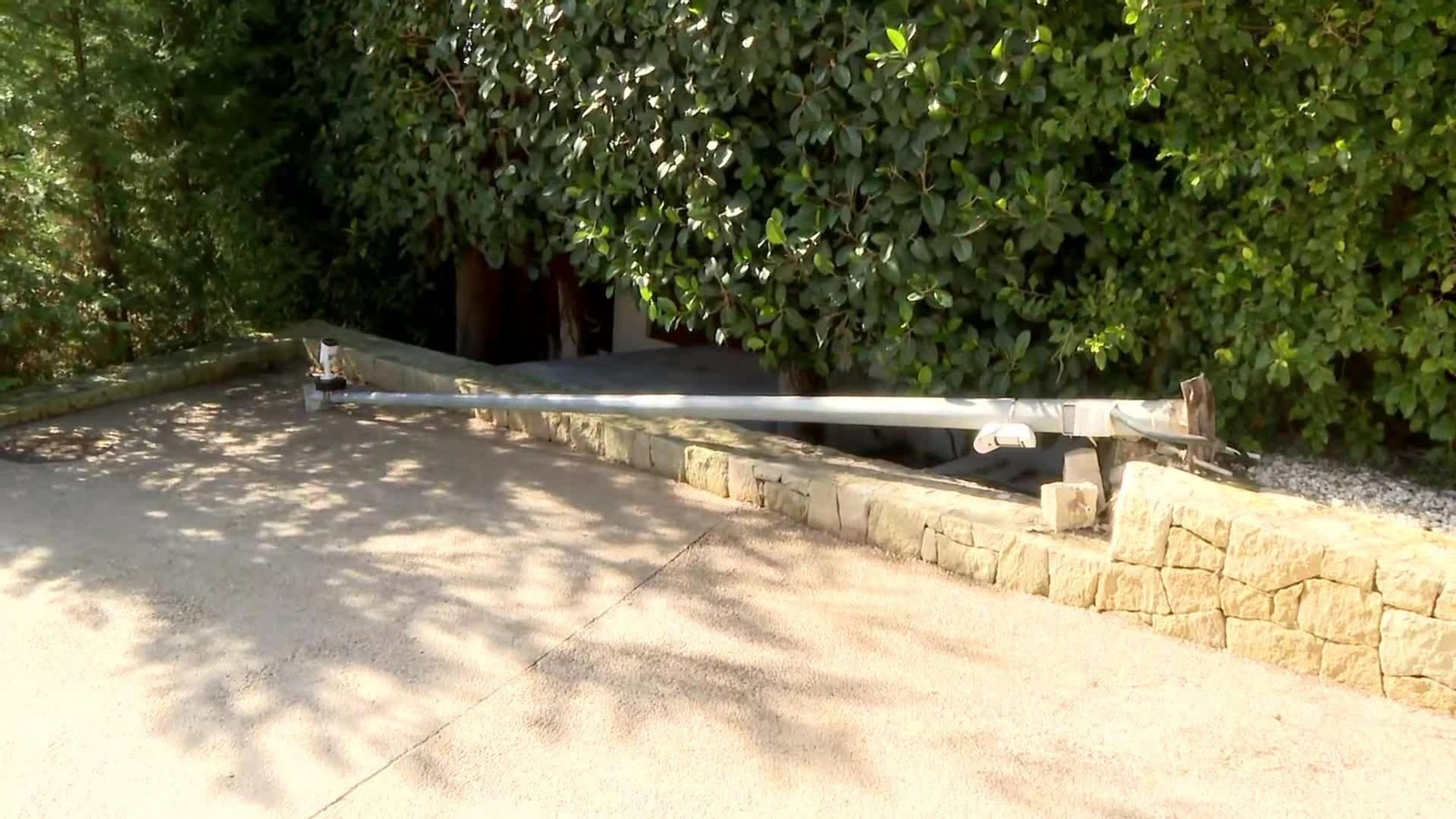 V055-ALICANTE ARBOLES CAÍDOS JAVEA