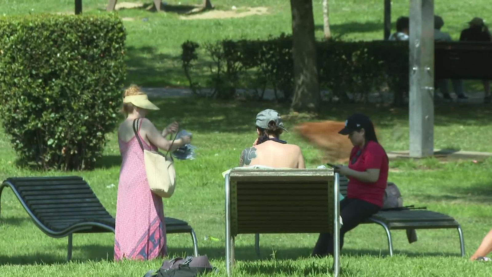 L021-VARIOS OLA DE CALOR