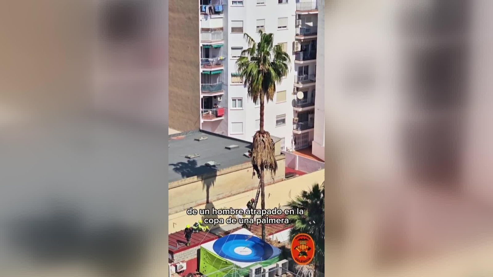 X090-VALENCIA OPERARIO GRAVE ATRAPADO PALMERA