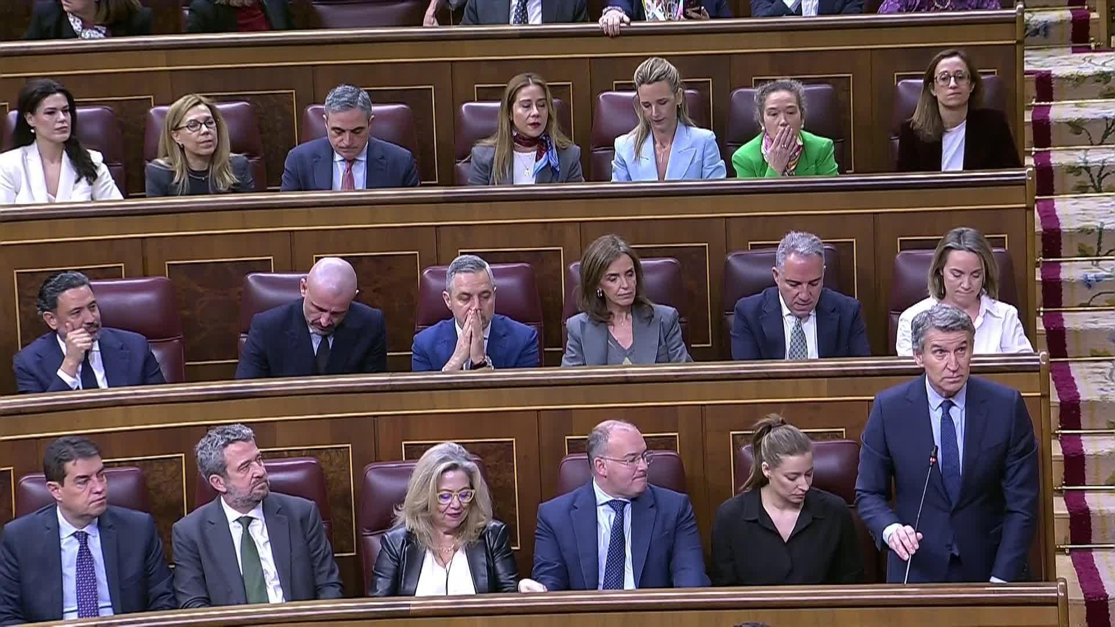 web reax regreso rey