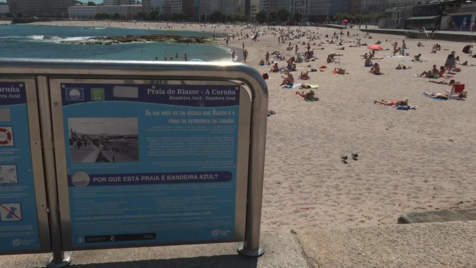 web mediterraneo calor