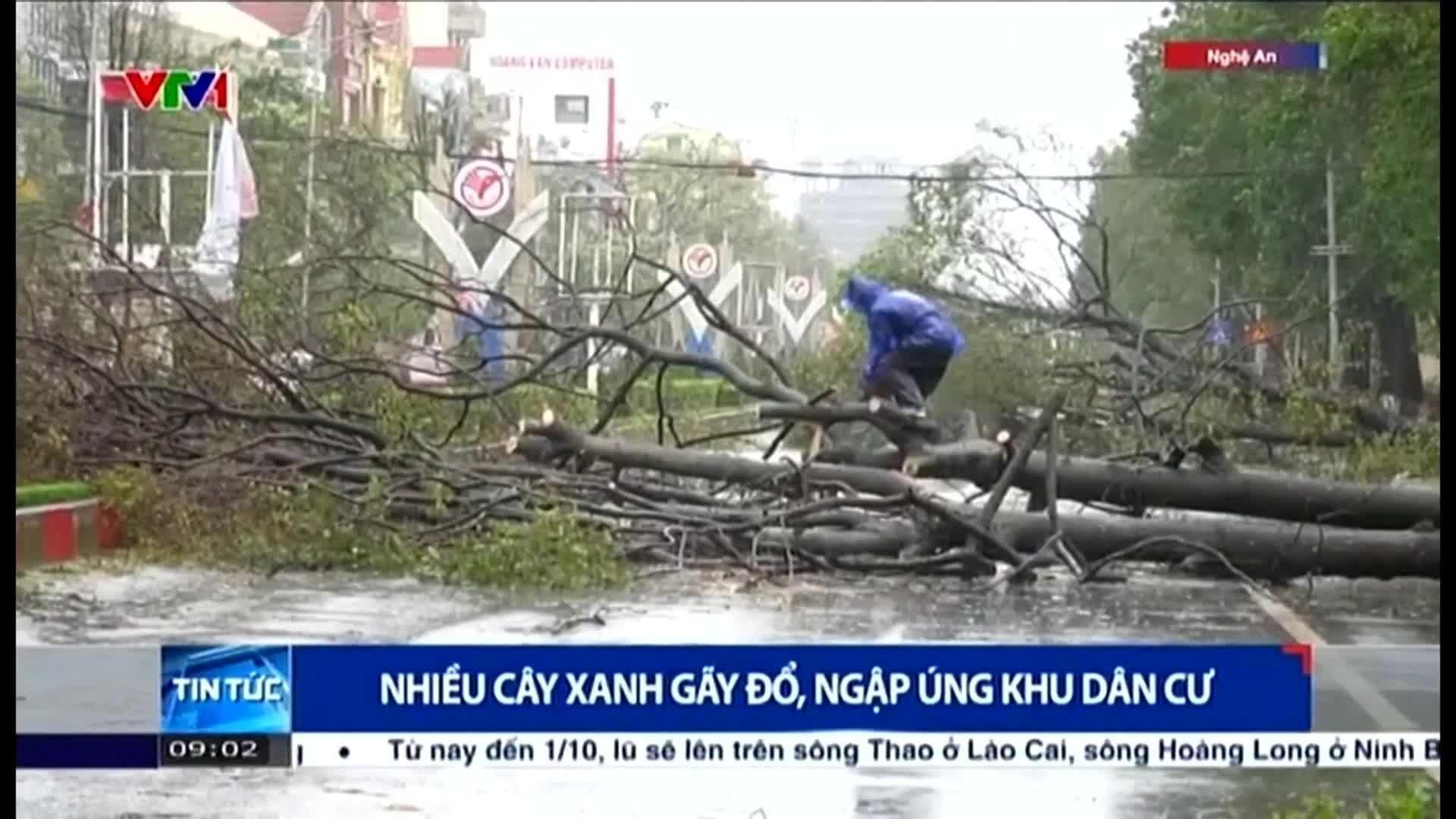 va muertos vietnam tifon