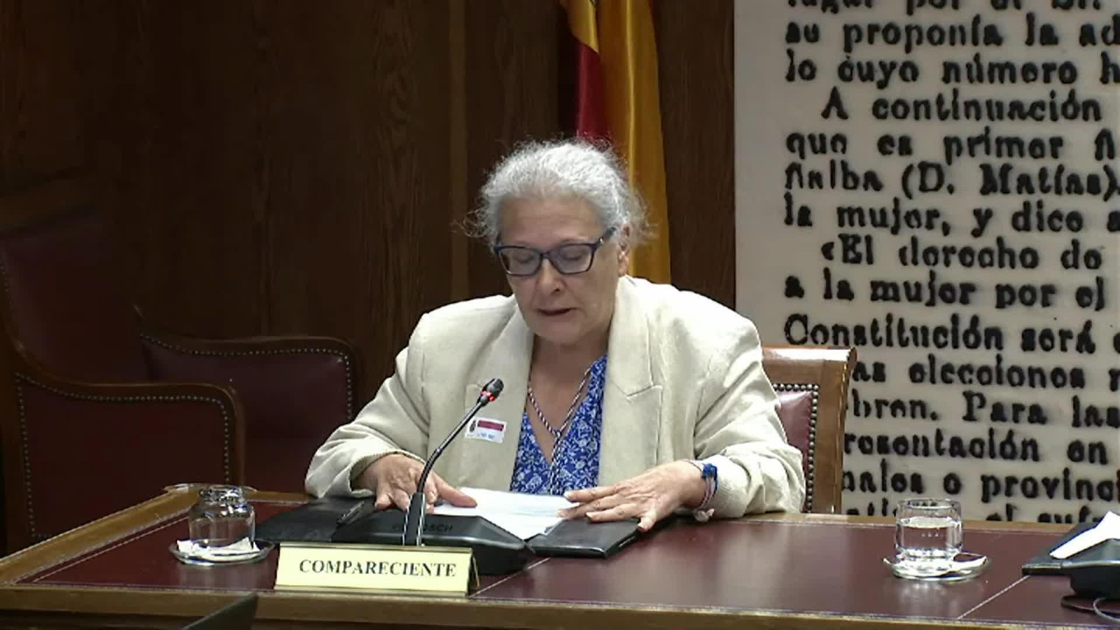 va carmen pano senado