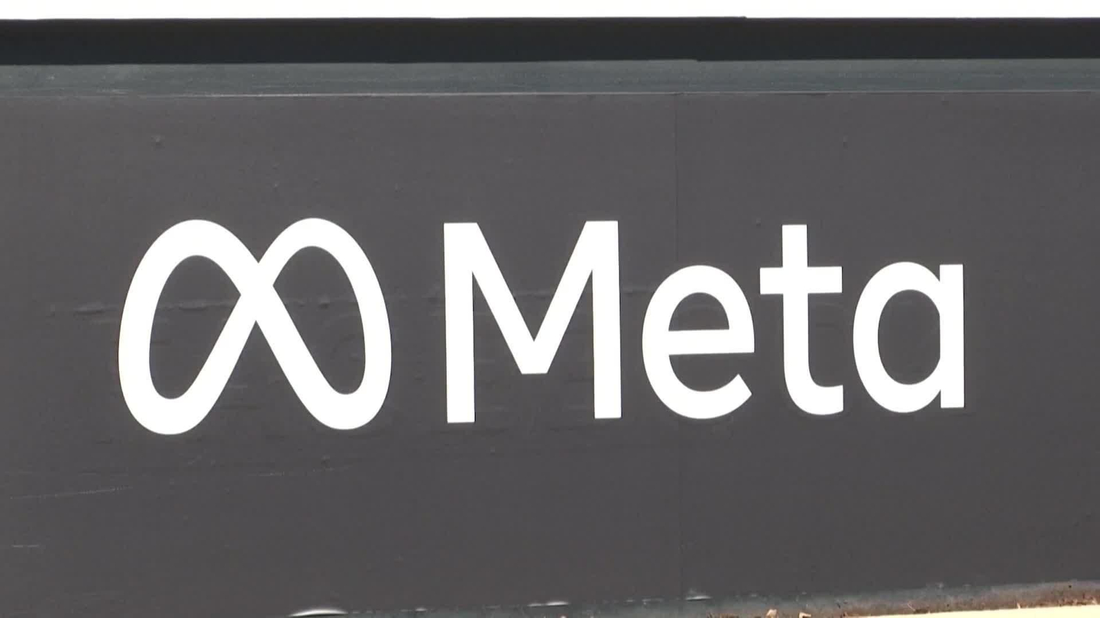 web condena meta y google