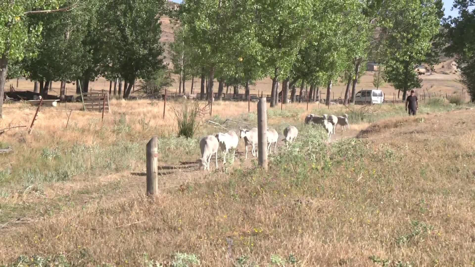 V003-EDI JAEN GANADERIA CONTRA LOS INCENDIOS SIERRA SEGURA