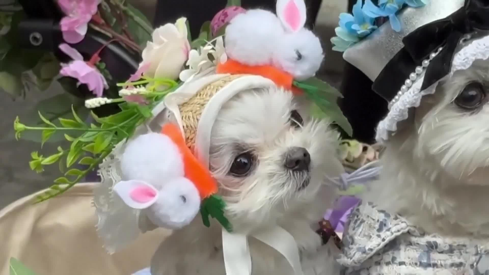 va desfile de pascua nueva york