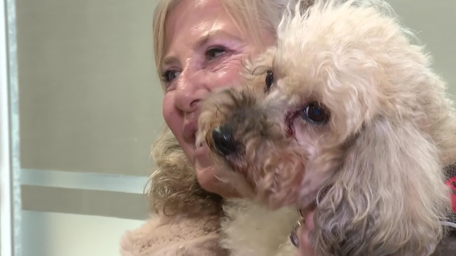 V001-EDI VARIOS LEGADO CON CARGA MASCOTAS