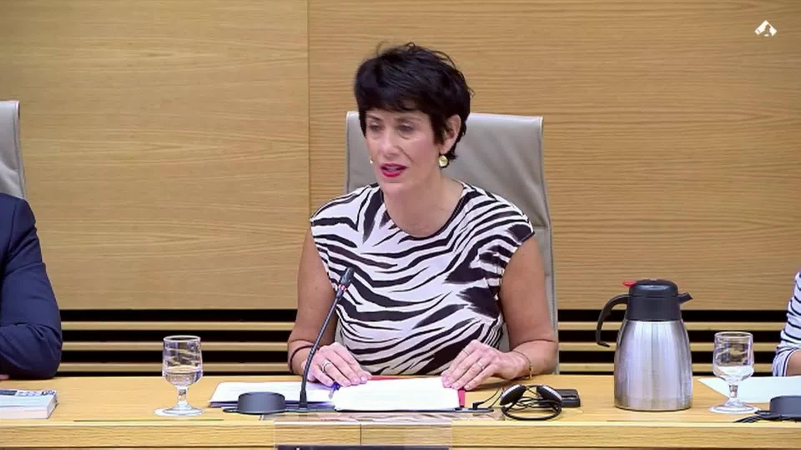 va elma saiz agradece cruz roja