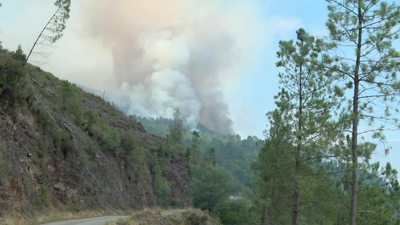 X026-LUGO INCENDIO FORESTAL DE QUIROGA