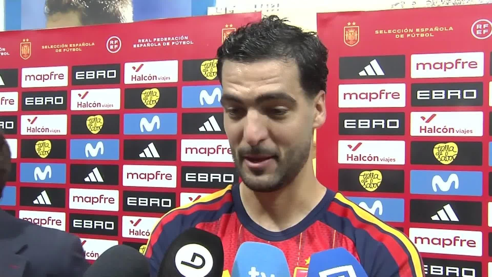 va mikel merino