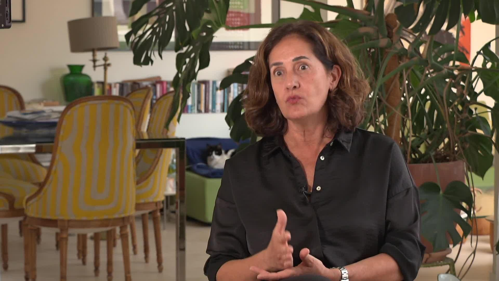 web la reina y las campañas
