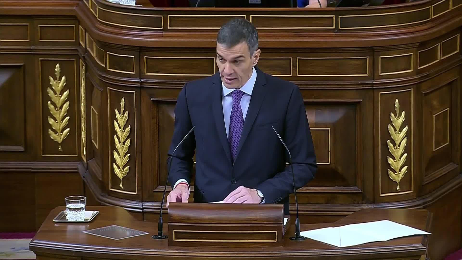 web medidas del gobierno