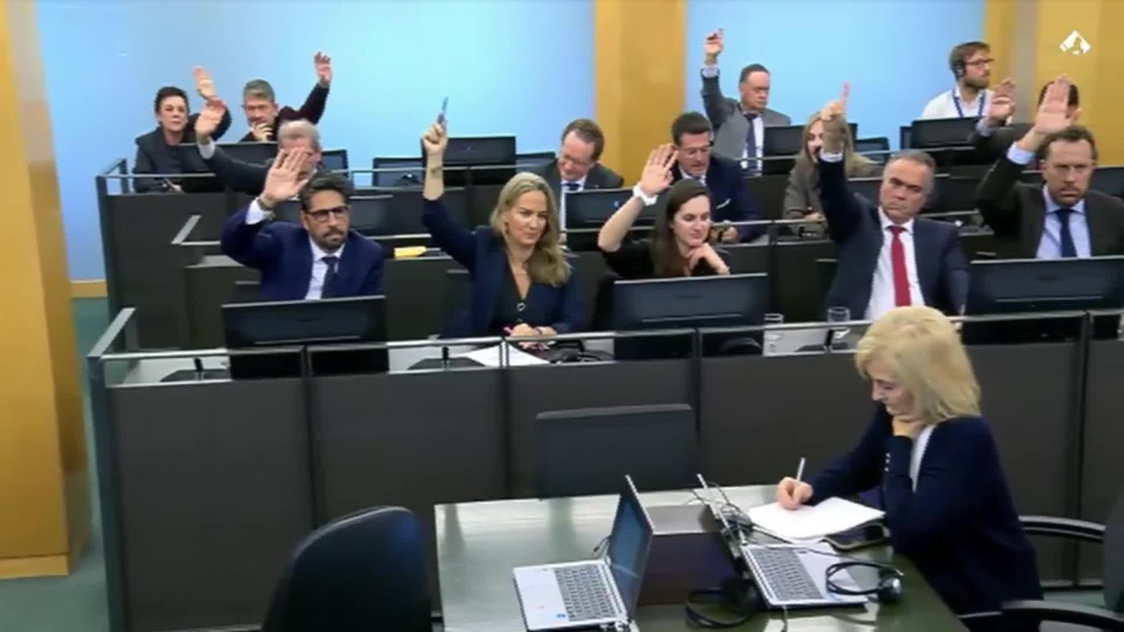 va votacion fiesta cordero