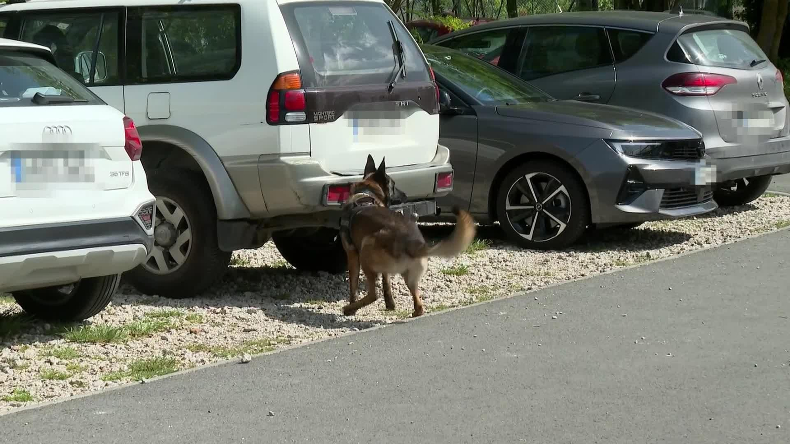 web perros ertzaintza