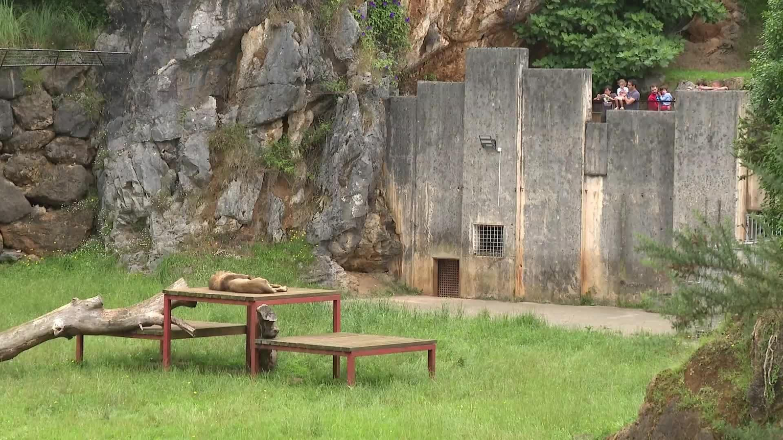 V034-CANTABRIA OPERACION LEONES CABARCENO