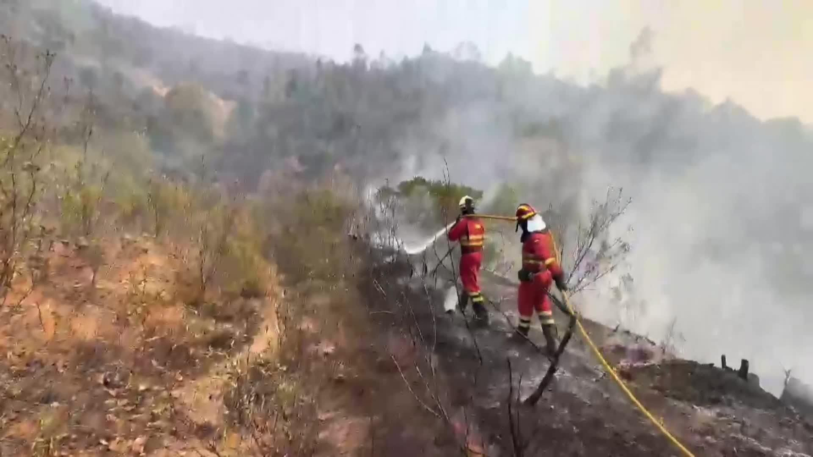 web incendios
