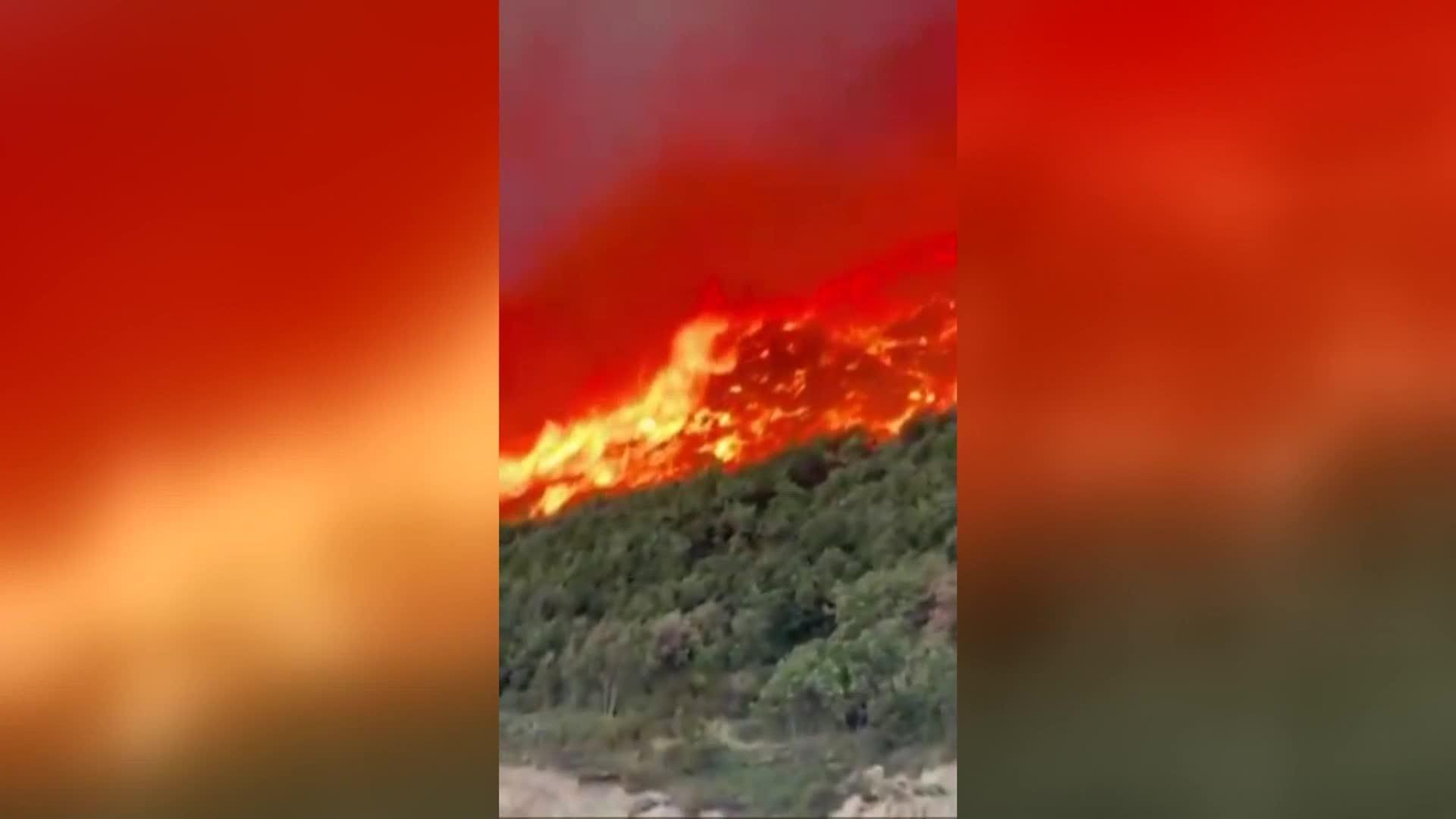 web incendios castilla y leon ok