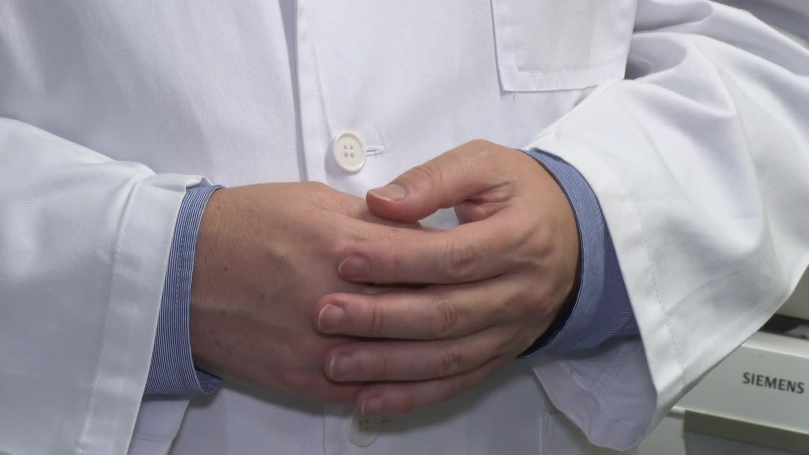 L061-GRANADA ENTREVISTA INVESTIGADORES CORNEA DE ESCAMAS PEZ