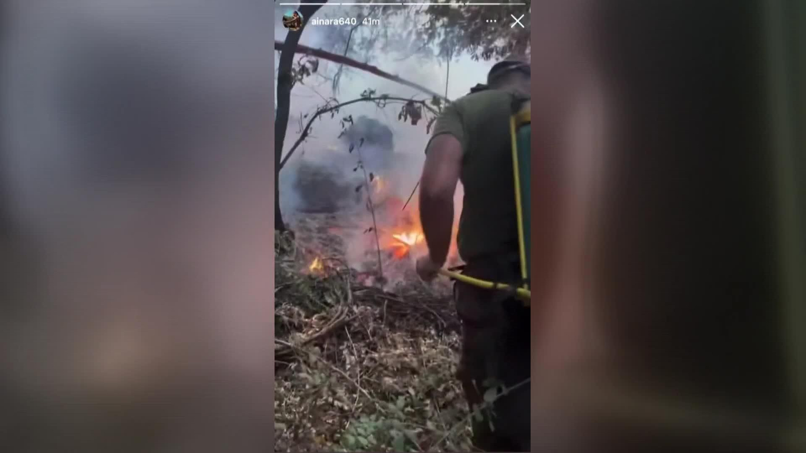 web incendio jarilla
