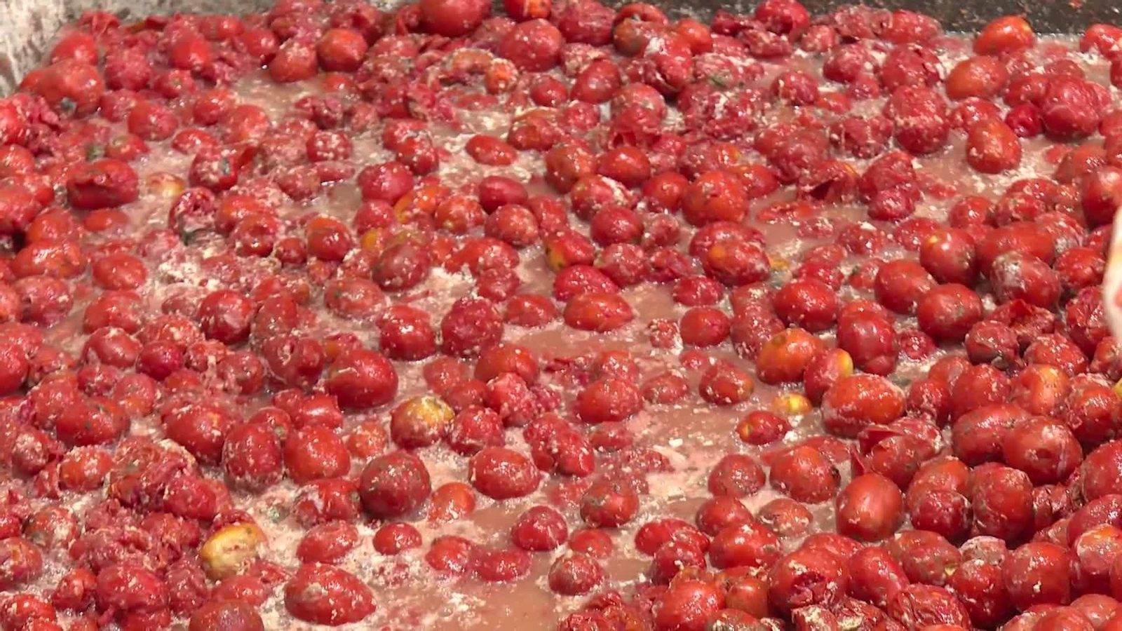 Buñol se prepara para su tradicional Tomatina con 120.000 kilos de tomate ok