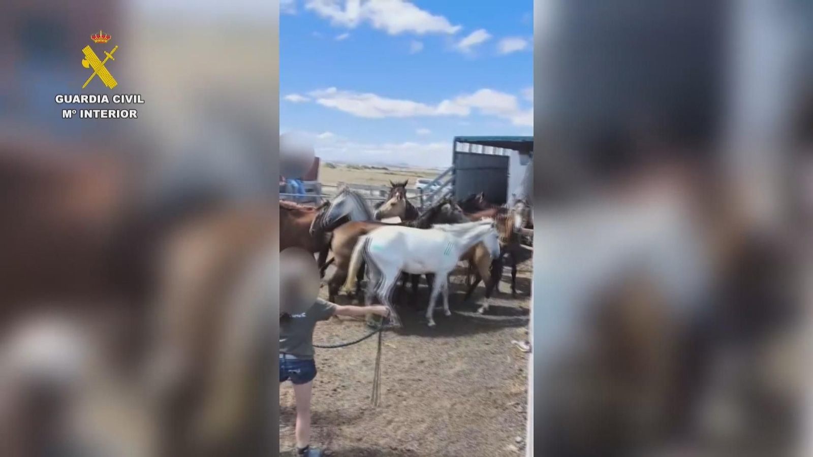 M019 ZARAGOZA OP GC MALTRATO CABALLOS FINCAS.Duplicate frame 1536