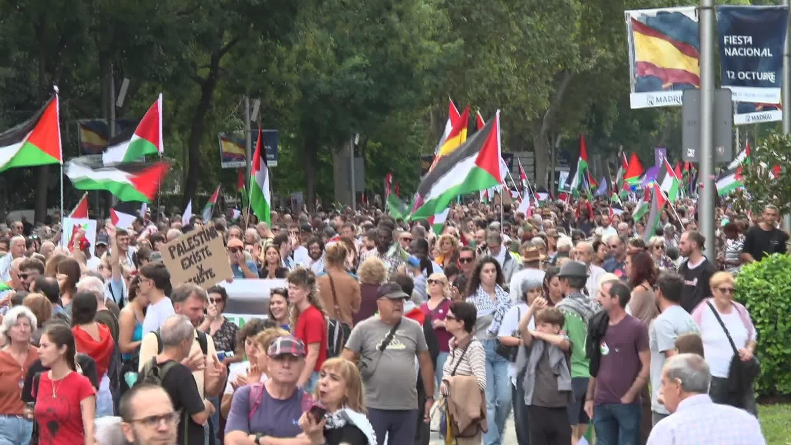 D040-MADRID MANIFESTACION APOYO PALESTINA