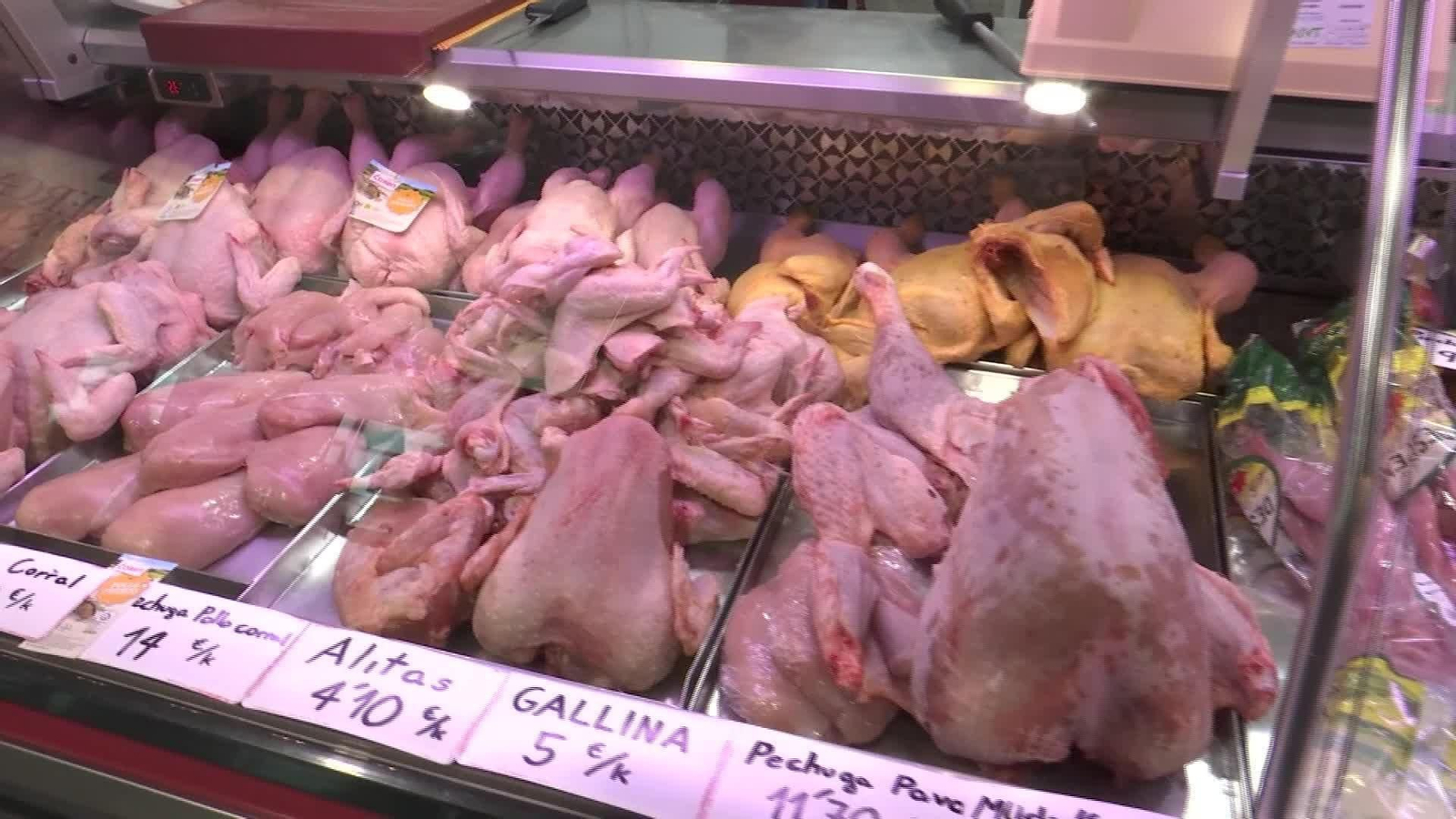 M060-SEVILLA GRIPE AVIAR