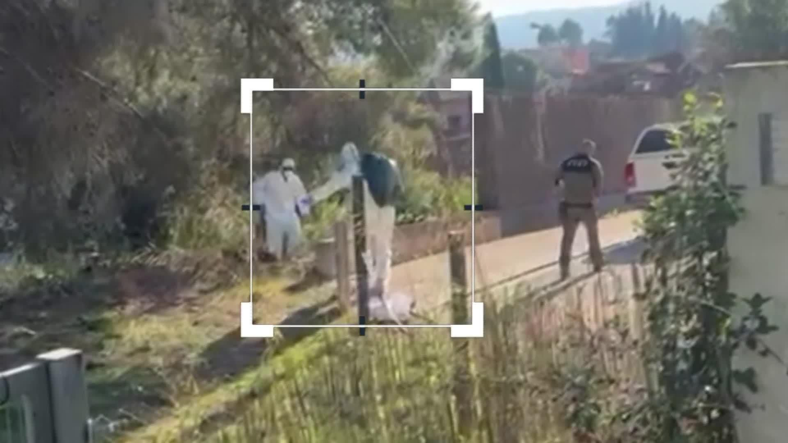 M055-EDI VARIOS CONTROL PESTE PORCINA