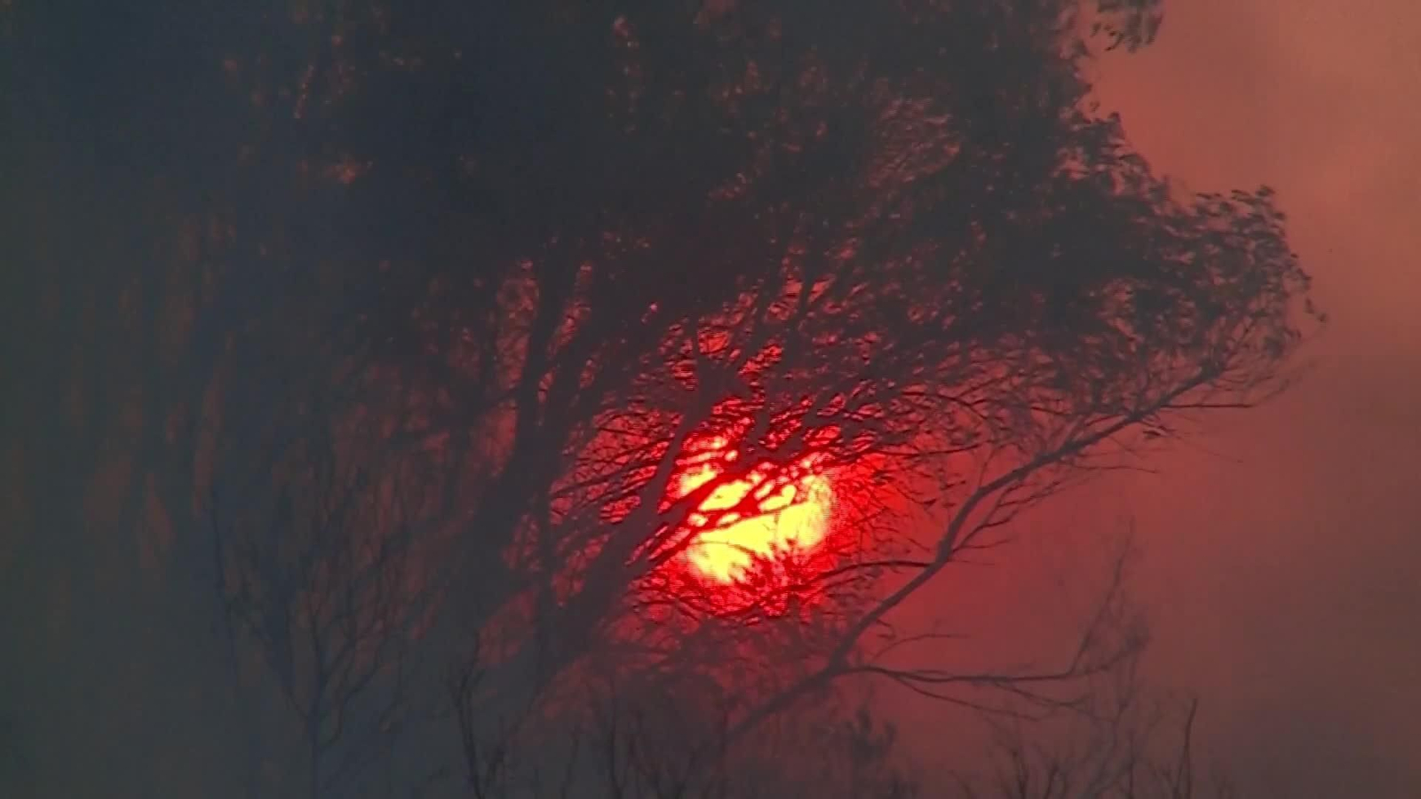 J007-GRECIA INCENDIOS FORESTALES